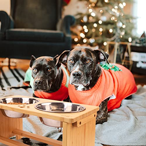 Elevated Dog Bowls (large-10"tall,48 Oz bowl / Bamboo)