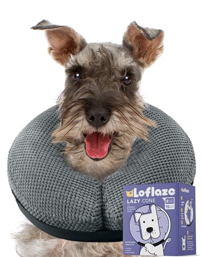 Soft Inflatable Dog Cone Collar Alternative After Surgery (M(Neck 7.5"-10") / grey)
