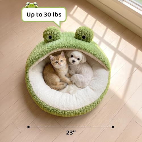 Cute Cat Beds Kitten Beds (Medium / White＆Green)