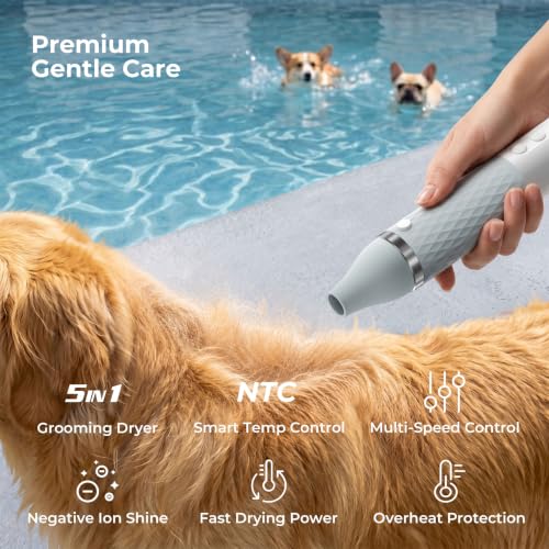 Portable Dog Dryer