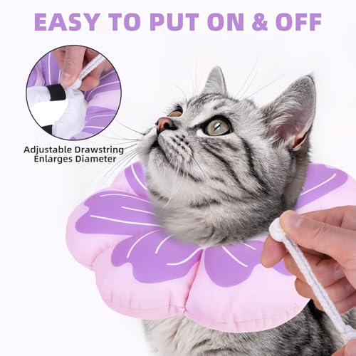 Cat Cone Collar (Purple / M - Neck Up to 10.5")