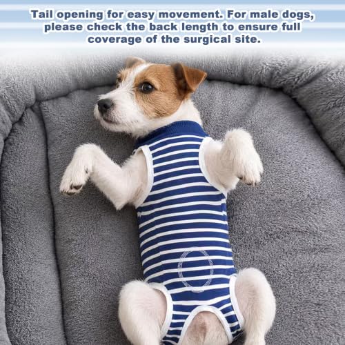 Recovery Suit for Dogs (Blue / X-Large)