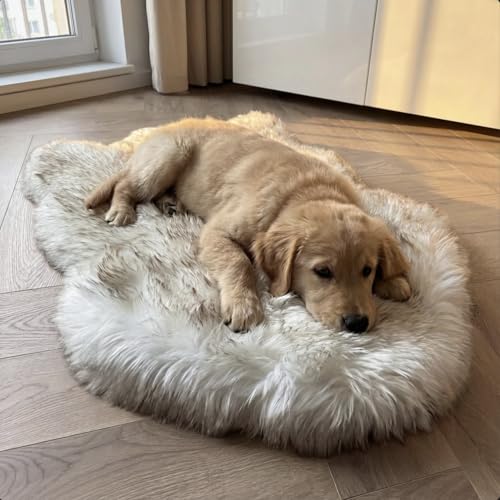 Faux Fur Orthopedic Dog Bed (White w/ Brown Tips / Small)