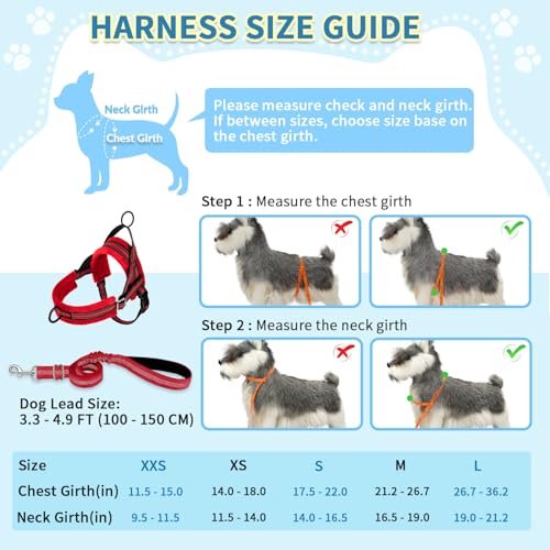 No Pull Small Dog Harness and Leash Set with Front Clip (Small / Red)