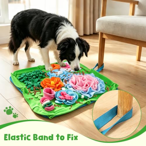 Snuffle Mat for Dogs (E)