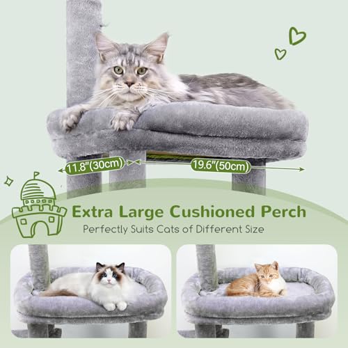 Maine Coon Cat Tower for Indoor Adult Cats (Light Grey / 50 inch)