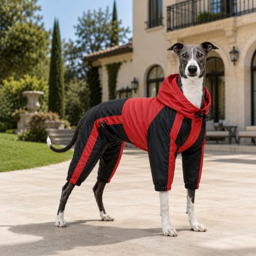 Dog Hooded Raincoat (M (Small Dog ~9lbs) / Red)