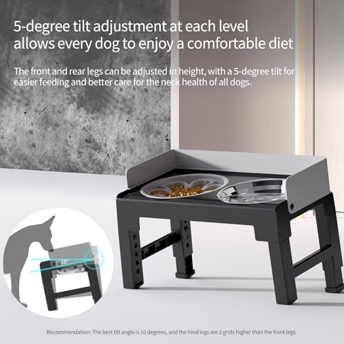 Elevated Dog Bowls for Medium and Large Dogs (1 Slow Feeder Bowl + 1 Stainless Steel Bowl / Grey)