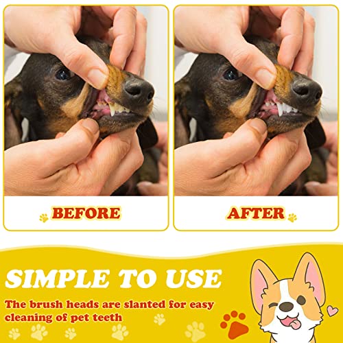 200 Pcs Dog Toothbrush