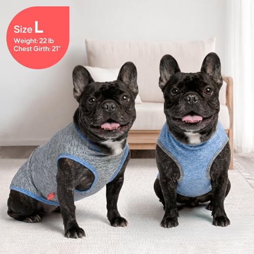 2Pack Dog Shirt (Small (4-7lbs) / 3# 2Pack (Light Blue+Grey))