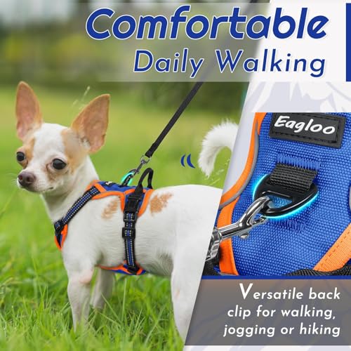 Dog Harness for Small Dogs (X-Small / Blue & Orange)