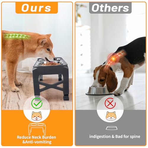 Elevated Dog Bowls with 2 Stainless Steel Dog Food & Water Raised Bowls with No Spill Edge Non (S (6" for Small Dogs) / Grey)