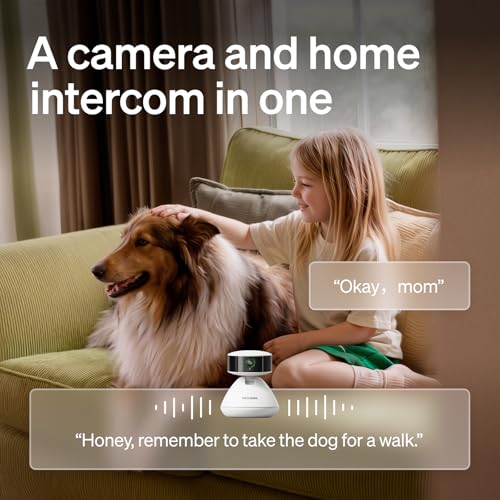 Upgrade Cat Water Fountain (White / Fountain+Camera)