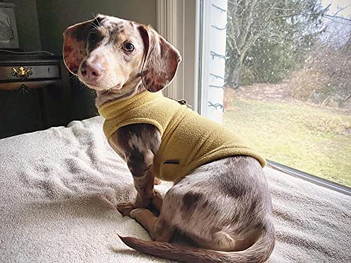 Fleece Vest Dog Sweater (Honey Mustard / Large (Around 18-lb))
