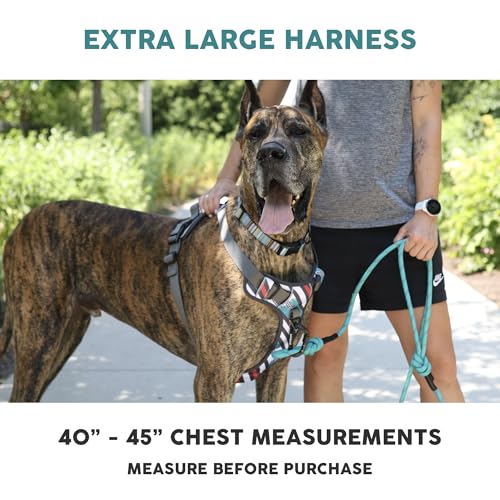 Embark No Pull Dog Harness (XL / Santa Monica)