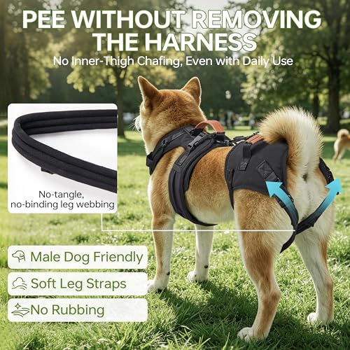 Dog Lift Harness for Male Dogs Full Body Support for Recovery & Mobility（M） (Chest Girth 21-27")