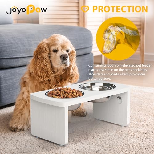Elevated Dog Bowls (White / Medium: 7'' Tall-40oz Bowl)