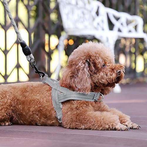 No Pull Dog Harness for Large Dogs (XL: chest 29.5"-39.4" / Gray)
