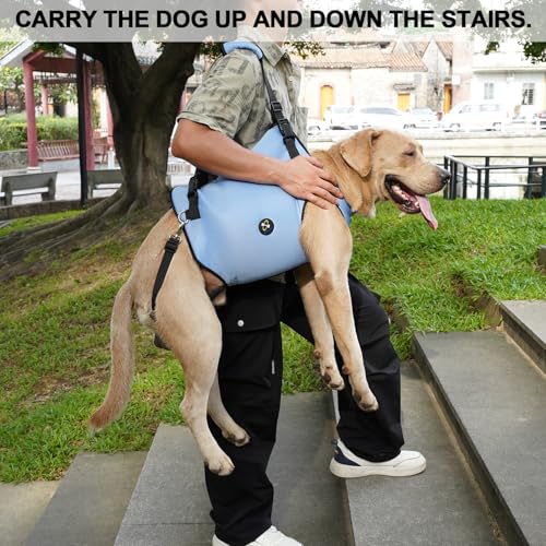 Dog Lift Harness (XXLarge / Blue)