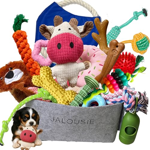 Multipack Dog Squeaky Toys Bulk Bundle Pup Toy (30 PCs Gift Basket)