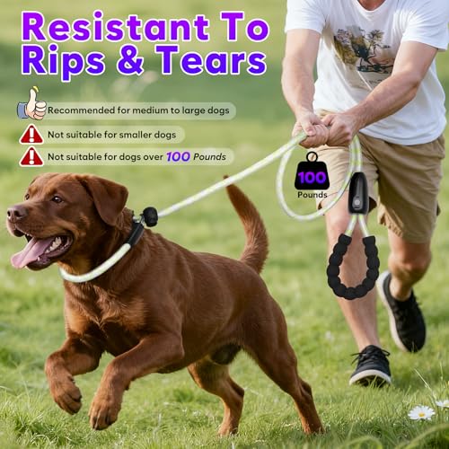 Light Up Dog Leash with Collar 2 (Multi-colored)