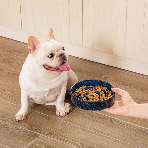 Slow Feeder Dog Bowl (S - 0.6 Cups / Blue)