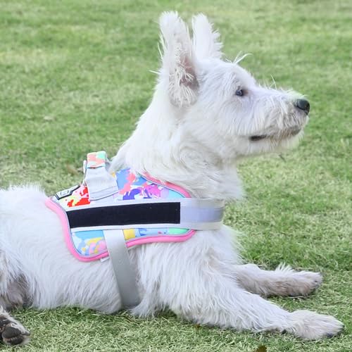 Dog Harness No (Large (Pack of 1) / OilPainting)