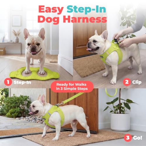 Voyager Step in Air Dog Vest Harness (Lime Green / XXS (Chest: 12 - 13.5"))