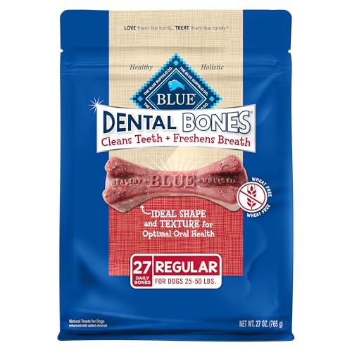Regular Dental Bones (1.69 Pound (Pack of 1))