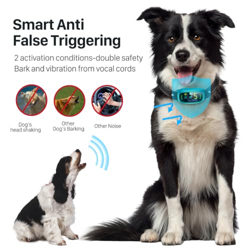 Dog Bark Collar (Clear)