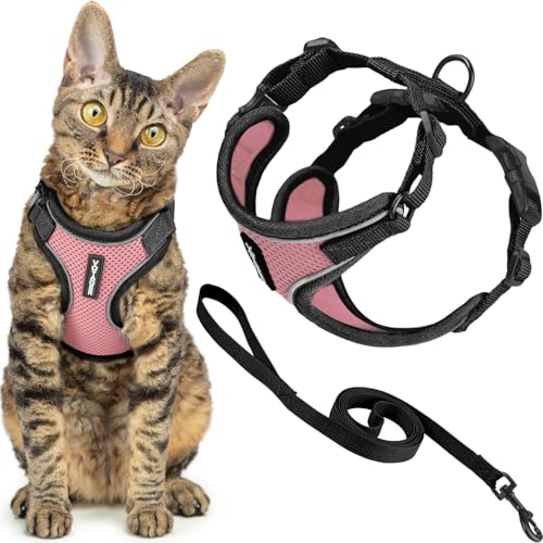 Voyager Escape (Black Trim-Pink (327) / XXXS (Chest: 10.5 - 13"))