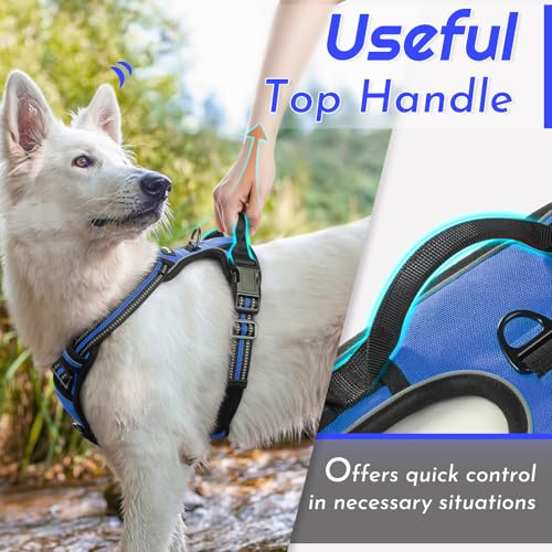 Dog Harness for Large Dogs (Large / Blue)