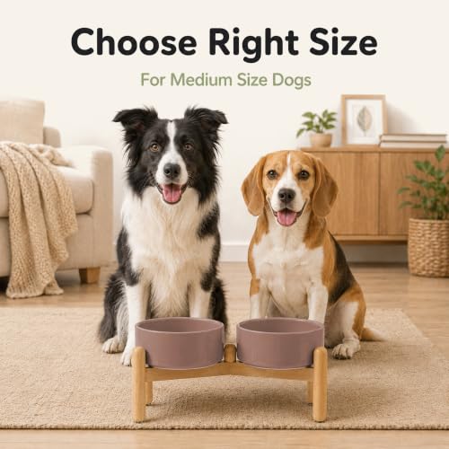 Ceramic Dog Bowls Elevated (Brown Coffee)