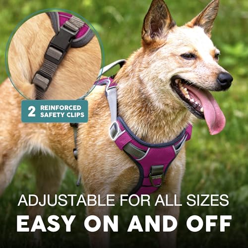 Embark No Pull Dog Harness (L / Pink)