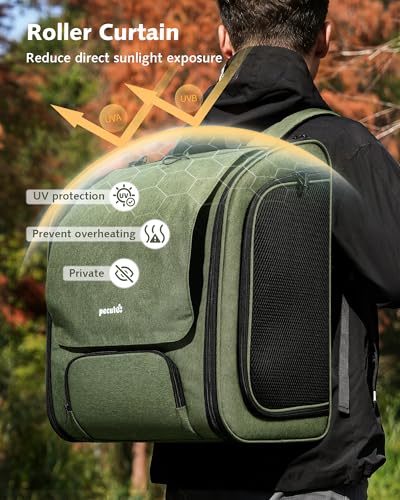 Cat Backpack Carrier (Green / 14.9"L x 11.0"W x 19.6"H)
