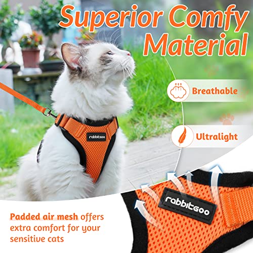 Cat Harness and Leash Set (S / Orange)