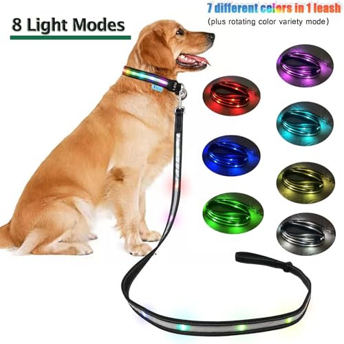 USB Rechargeable LED Dog Leash