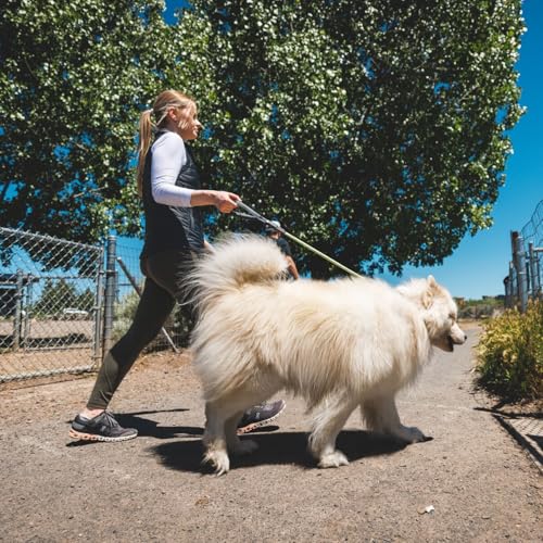 Knot-a-Long Dog Leash, 30-inch Short Rope Lead, Blue Pool (Blue Pool / One Size)