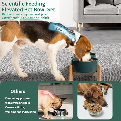 Elevated Ceramic Dog Bowl (Green / Medium)