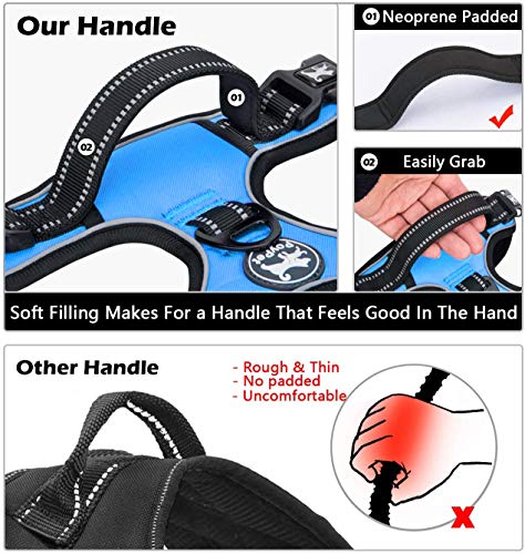 No Pull Dog Harness Large with Front Clip & Neck Release Buckle (Large / Blue)