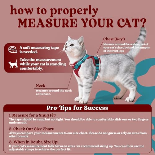 Cat Harness and Leash Set (Xxs / Red & Teal)
