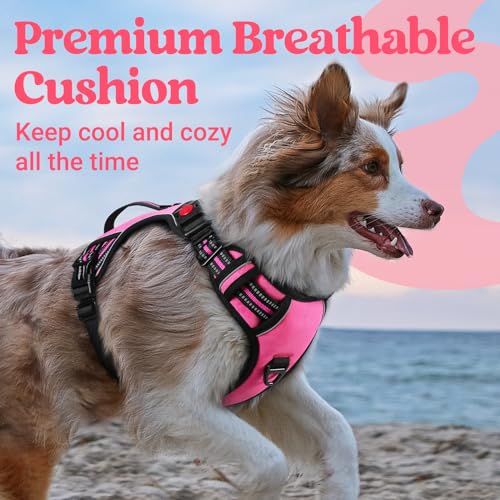 Large Dog Harness (Small / Pink)