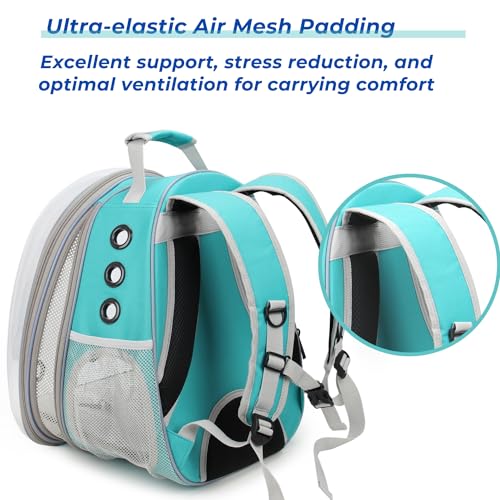 Cat Carrier Backpack (Back Expandable-Green)