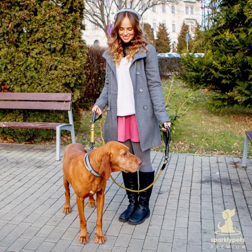 Heavy Duty Bungee Rope Leash (Adjustable Premium Gold)