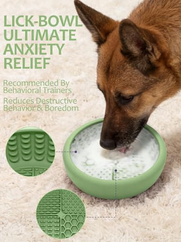Dog Lick Bowl with Brush and Scraper (Green / Small)