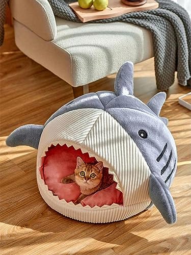 Cat Mat Shark (Large / Blue)