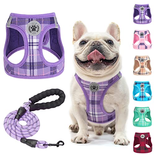 Small Dog Harness and Leash Set (Large(Chest Girth 18" - 21") / Purple)