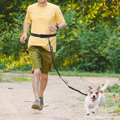 Hands Free Leash (Black Purple / 7FT Hands Free)