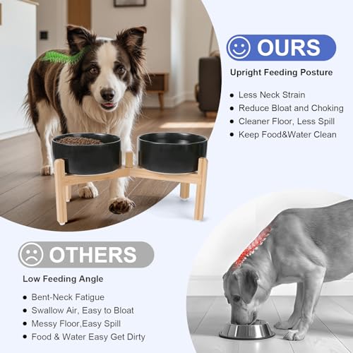 Elevated Dog Bowls Ceramic (7.3 in - 5.3 cups / Black)