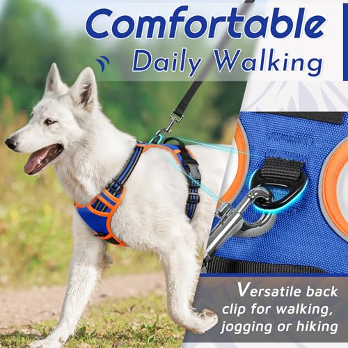 Dog Harness for Large Dogs (Large / Blue & Orange)